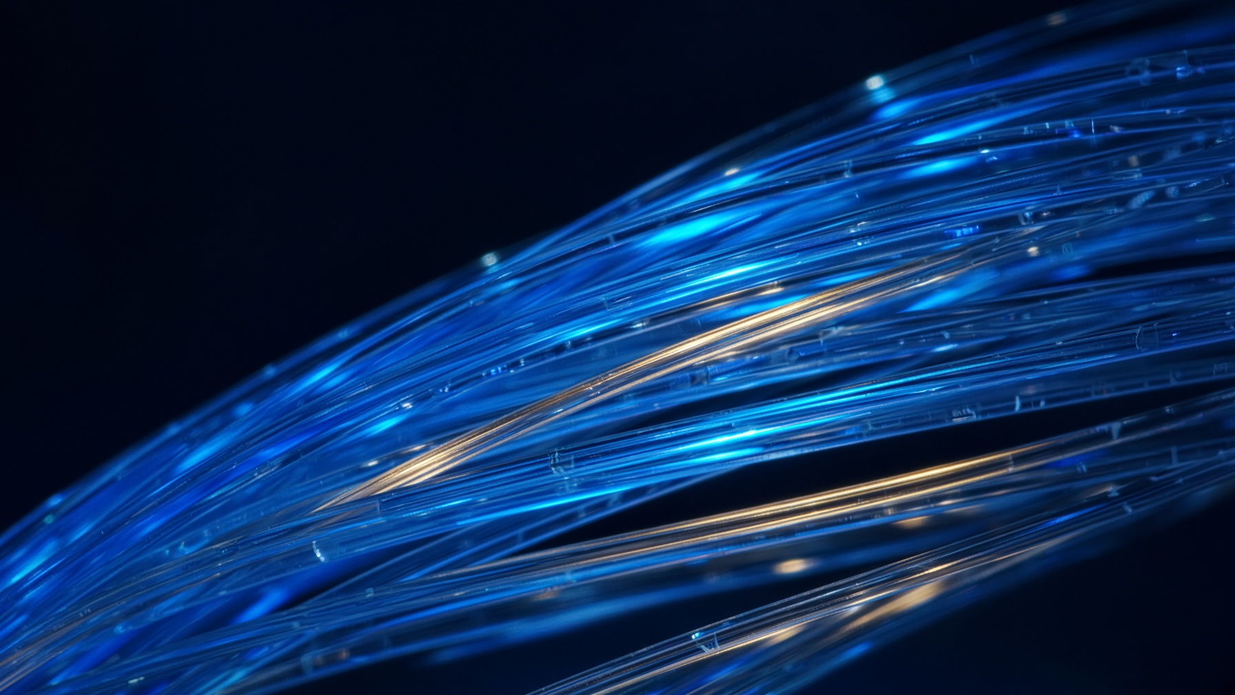 Close-up of illuminated fiber-optic strands